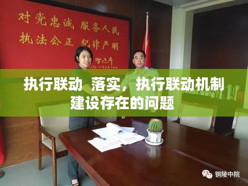 執(zhí)行聯(lián)動(dòng)  落實(shí)，執(zhí)行聯(lián)動(dòng)機(jī)制建設(shè)存在的問(wèn)題 