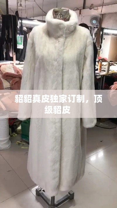 貂貂真皮獨家訂制，頂級貂皮 