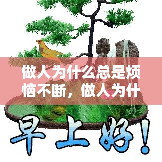 公司概況 第13頁