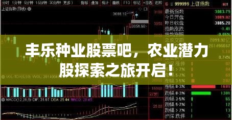 豐樂種業(yè)股票吧，農(nóng)業(yè)潛力股探索之旅開啟！