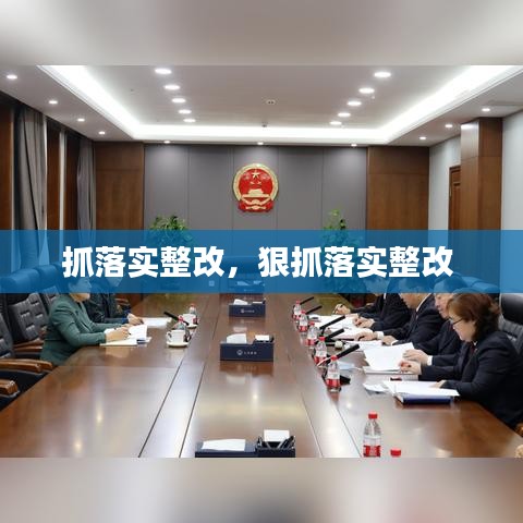 抓落實整改，狠抓落實整改 