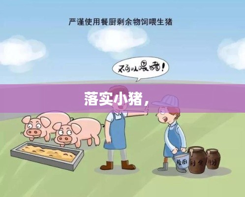 落實(shí)小豬， 