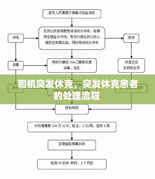 新聞中心 第12頁