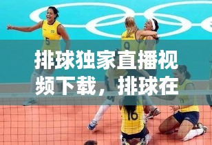 排球獨(dú)家直播視頻下載，排球在線直播免插件 