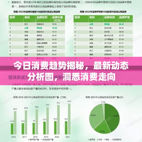 今日消費(fèi)趨勢揭秘，最新動態(tài)分析圖，洞悉消費(fèi)走向