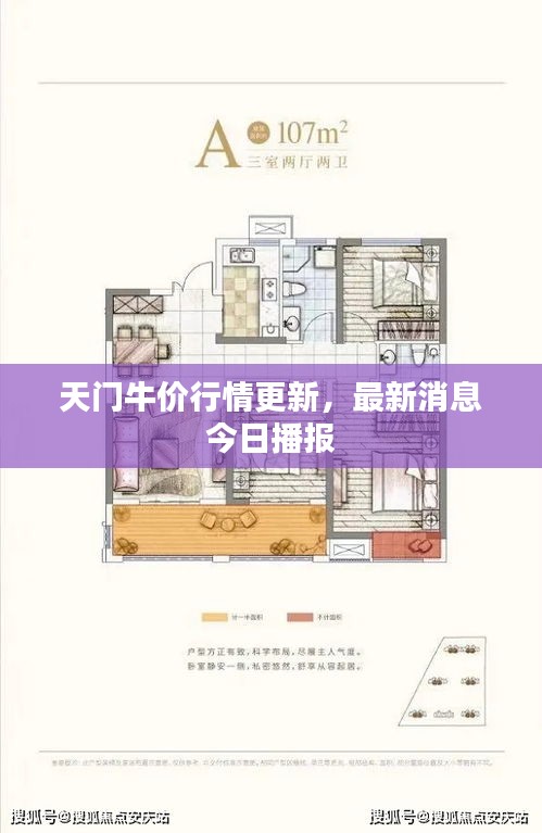 天門牛價(jià)行情更新，最新消息今日播報(bào)