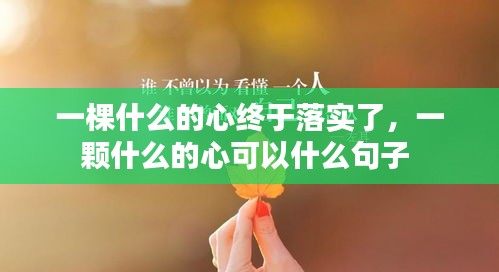 一棵什么的心終于落實(shí)了，一顆什么的心可以什么句子 