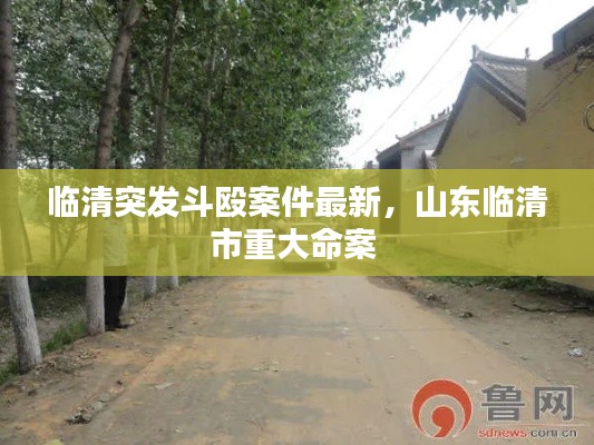 臨清突發(fā)斗毆案件最新，山東臨清市重大命案 