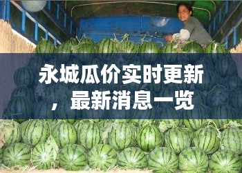 永城瓜價(jià)實(shí)時(shí)更新，最新消息一覽