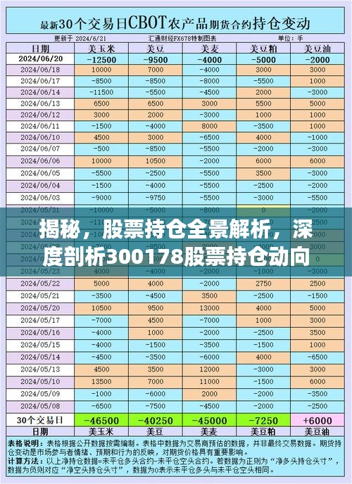 揭秘，股票持倉全景解析，深度剖析300178股票持倉動向