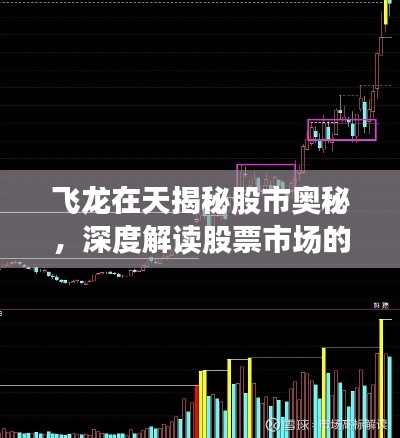 飛龍在天揭秘股市奧秘，深度解讀股票市場的風云變幻