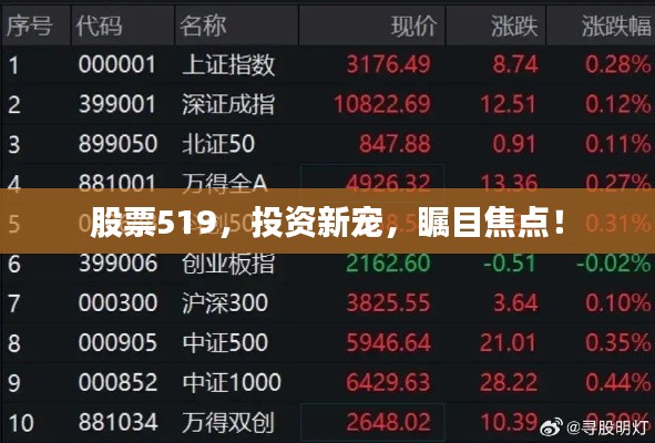 股票519，投資新寵，矚目焦點！