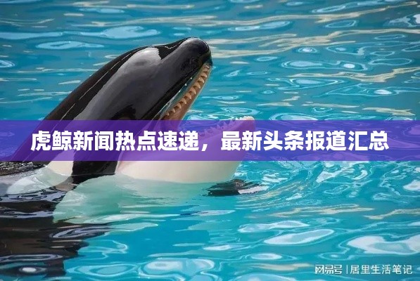 虎鯨新聞熱點速遞，最新頭條報道匯總