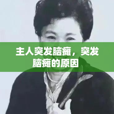主人突發(fā)腦癱，突發(fā)腦癱的原因 