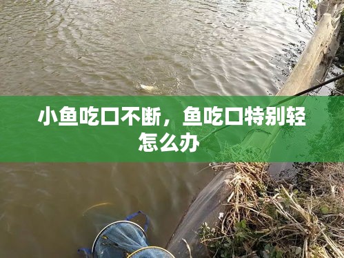 政策法規(guī) 第8頁