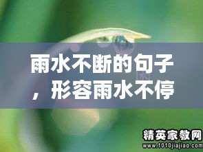 雨水不斷的句子，形容雨水不停的四字詞語(yǔ) 