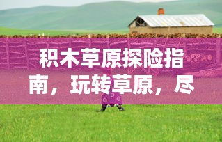 積木草原探險(xiǎn)指南，玩轉(zhuǎn)草原，盡享樂趣！