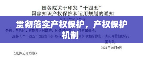 貫徹落實產(chǎn)權(quán)保護(hù)，產(chǎn)權(quán)保護(hù)機制 