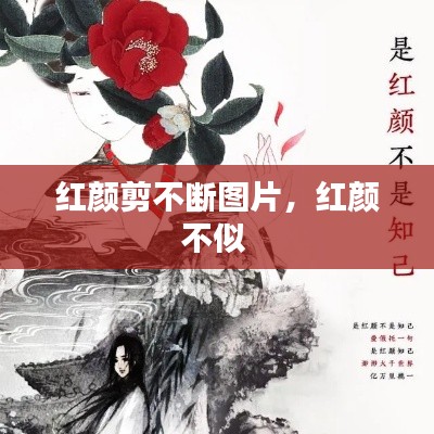 招標(biāo)采購 第5頁