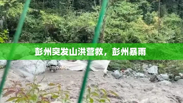 彭州突發(fā)山洪營救，彭州暴雨 