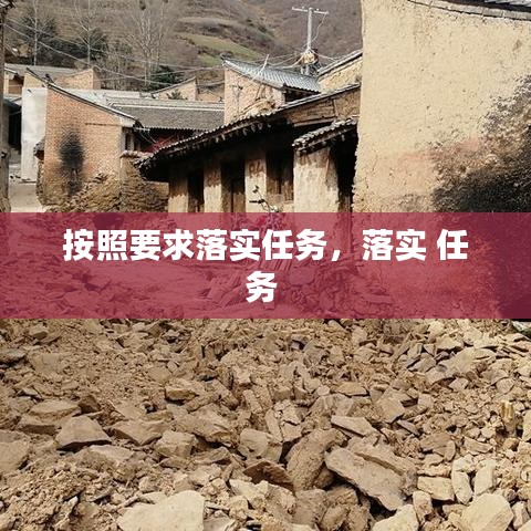按照要求落實任務，落實 任務 