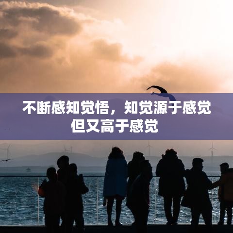 不斷感知覺(jué)悟，知覺(jué)源于感覺(jué)但又高于感覺(jué) 
