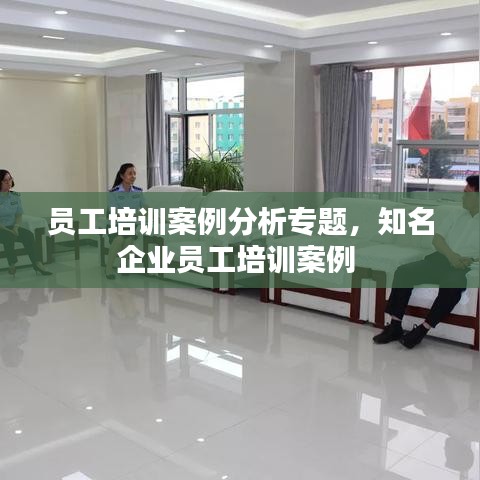 員工培訓(xùn)案例分析專題，知名企業(yè)員工培訓(xùn)案例 