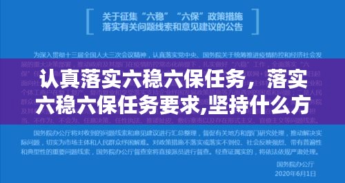 認(rèn)真落實六穩(wěn)六保任務(wù)，落實六穩(wěn)六保任務(wù)要求,堅持什么方針 