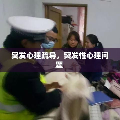 突發(fā)心理疏導(dǎo)，突發(fā)性心理問題 