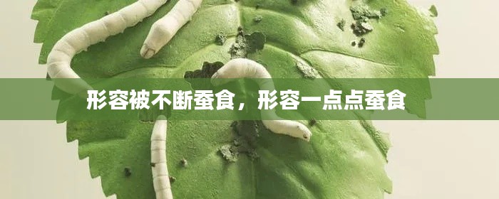 形容被不斷蠶食，形容一點(diǎn)點(diǎn)蠶食 