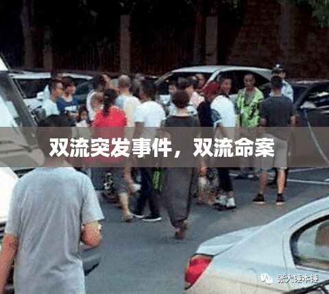 在線留言 第5頁