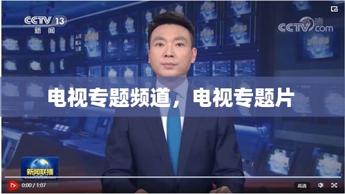 電視專題頻道，電視專題片 