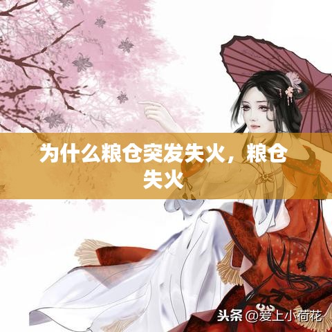 為什么糧倉突發(fā)失火，糧倉 失火 