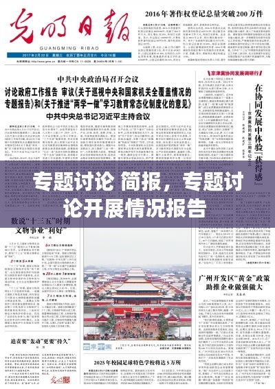 專題討論 簡報，專題討論開展情況報告 
