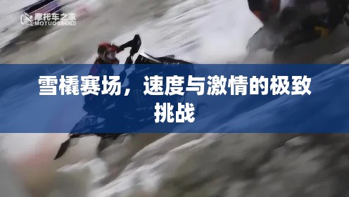 雪橇賽場(chǎng)，速度與激情的極致挑戰(zhàn)