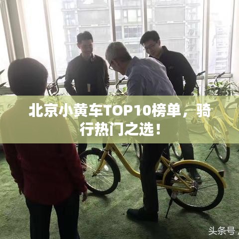 北京小黃車(chē)TOP10榜單，騎行熱門(mén)之選！