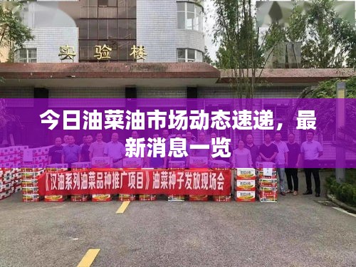 今日油菜油市場(chǎng)動(dòng)態(tài)速遞，最新消息一覽