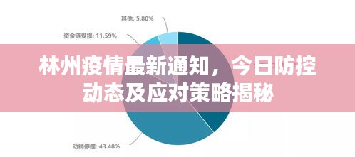 林州疫情最新通知，今日防控動(dòng)態(tài)及應(yīng)對(duì)策略揭秘
