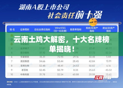 云南土雞大解密，十大名牌榜單揭曉！