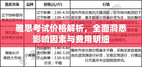 雅思考試價(jià)格解析，全面洞悉影響因素與費(fèi)用明細(xì)