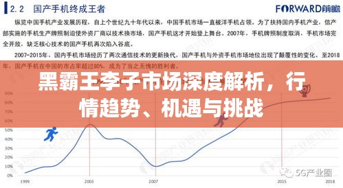 黑霸王李子市場(chǎng)深度解析，行情趨勢(shì)、機(jī)遇與挑戰(zhàn)