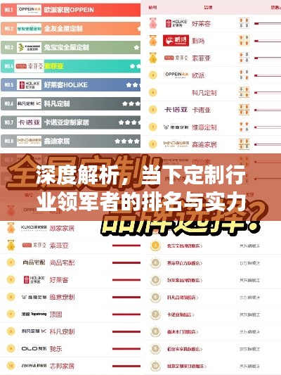 深度解析，當(dāng)下定制行業(yè)領(lǐng)軍者的排名與實力比拼！