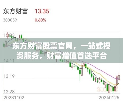 東方財(cái)富股票官網(wǎng)，一站式投資服務(wù)，財(cái)富增值首選平臺