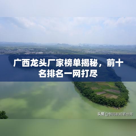 廣西龍頭廠家榜單揭秘，前十名排名一網(wǎng)打盡