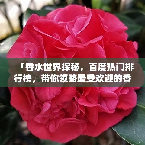 「香水世界探秘，百度熱門(mén)排行榜，帶你領(lǐng)略最受歡迎的香水香氣」