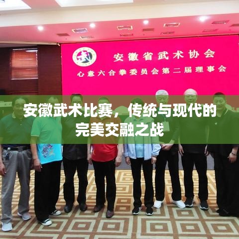 安徽武術(shù)比賽，傳統(tǒng)與現(xiàn)代的完美交融之戰(zhàn)