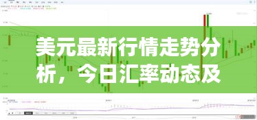 美元最新行情走勢分析，今日匯率動(dòng)態(tài)及市場解讀