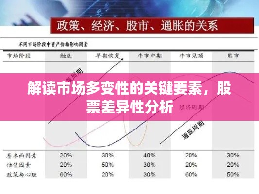 解讀市場(chǎng)多變性的關(guān)鍵要素，股票差異性分析