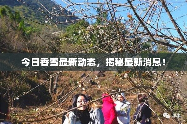 第12頁(yè)