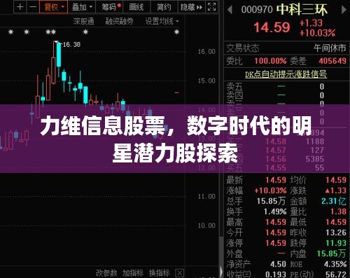 力維信息股票，數(shù)字時(shí)代的明星潛力股探索